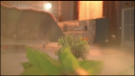 Mishri - 29th August 2024